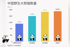 不住四川，你的祖上曾经也人手一只大熊猫！国宝分布情况图。视频封面