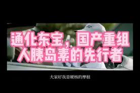 通化东宝，国产重组人胰岛素的先行者视频封面