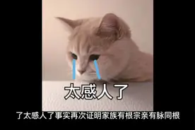 台湾女孩寻根记视频封面