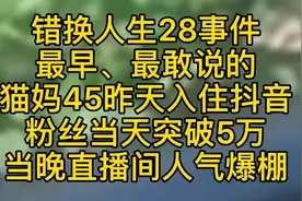 错换人生28事件最早发声的猫妈45，昨天入驻抖音视频封面