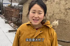 黑龙江林区突降大雪，零下20度，看看东北人如何冻大鹅视频封面