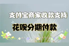 支付宝商家怎样设置支持顾客花呗分期付款视频封面