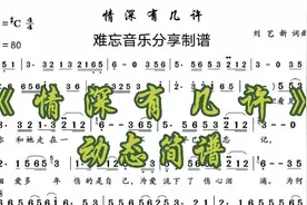 伤感情歌《情深有几许》动态简谱视频封面