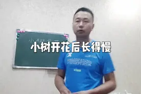 柑橘管理技术，小树开花后生长缓慢，懂原理轻松改变这种情况视频封面