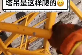 今天风很大   塔吊小姐姐今天带你们从百米高空的塔吊爬下去视频封面