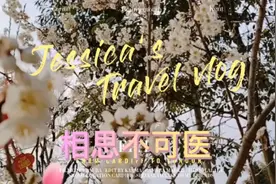 相思不可医，陈静演唱，新歌上线，旋律优美的超级好听，开展