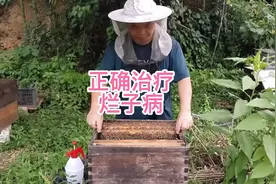 正确治疗烂子病视频封面