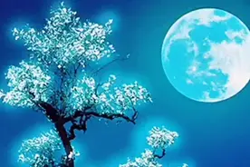 换位思考，人心换人心，珍惜彼此的真心视频封面