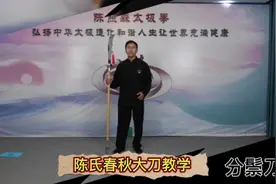 陈志伟校长演绎大刀人生#中国武术发扬光大视频封面