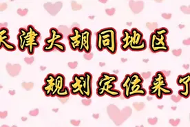 天津大胡同地区规划定位来了视频封面