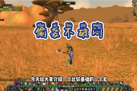 魔兽怀旧服盗贼插旗基础宏(闷棍偷星)视频封面