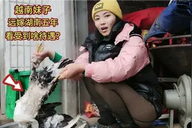 越南媳妇嫁湖南5年，看老公用啥招待她，越南媳妇脸上笑开花视频封面