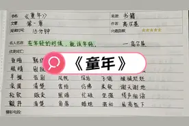 《童年》第一章读书笔记摘抄