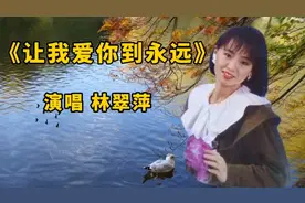 台湾歌手林翠萍《让我爱你到永远》歌声甜美，情意绵绵，回味无穷视频封面