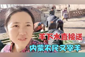 内蒙农民宰羊过新年，200块的羊下水直接送人，羊下水咋清洗？