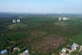 刘邦、38岁结婚、48岁起义、50岁灭秦、54岁才击败项羽一统天下视频封面