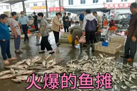 微山湖边这个鱼摊是真火，买鱼的排成队，一车鱼半上午就卖完视频封面