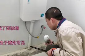 多多上10块钱买的杀虫粉剂，到底管不管用？小罗用实验来证明视频封面