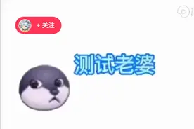 测试老婆视频封面