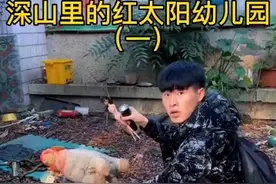 深山里的红太阳幼儿园全集视频封面