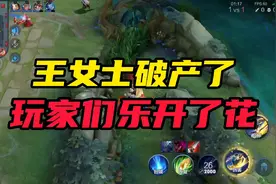 举报王者图标的王女士破产了，玩家们表示干得漂亮!