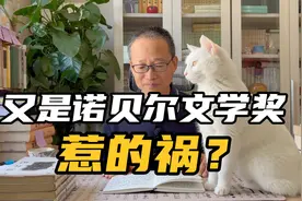 暴力、堕落和冷漠：大江健三郎笔下的日本；分享《雪国》新译本视频封面