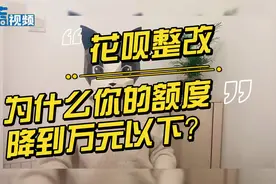黑猫说事｜花呗整改 为什么你的额度降到万元以下？视频封面