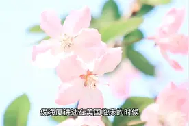 倪海厦讲述委中放血治AIDS的案例