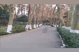 武汉市青少年宫，一个适合散步的好地方视频封面