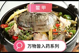 万物皆入药之鳖甲＃健康与生活视频封面