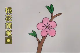简笔画桃花这样画简单又好看视频封面