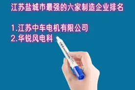 江苏盐城市最强的六家制造企业排名