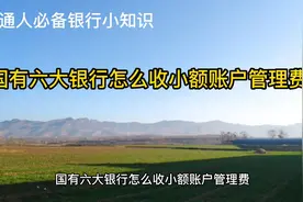 六大国有银行怎么收小额账户管理费？视频封面