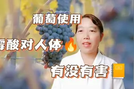 葡萄使用赤霉酸对人体有没有害，看完你就会放心的食用无核葡萄视频封面