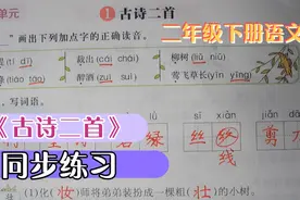 二年级下册语文《古诗二首》同步练习，一粗心，老师也出错！视频封面