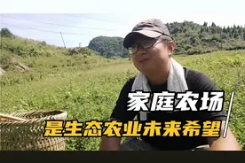 生态家庭农场横向发展，才能生产放心食品，大农场无法对比视频封面