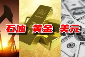一吨黄金与一吨美元哪个贵？产油大国争先恐后为哪般？视频封面