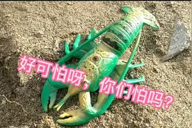 工程车玩具动画⊙▽⊙可怕的大龙虾来袭，工程车都掉坑里了