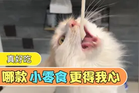一觉睡到中午，这日子是颠倒了，一天下来全是吃饭做饭，反复循环视频封面