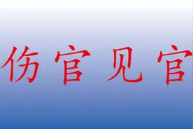伤官见官（上），被世人误解的一大格局，清贵格出官贵。视频封面