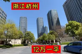 实拍杭州市中心楼王武林壹号，每平方12万，太牛了视频封面