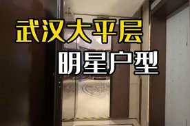 武汉明星 王凯 刘亦菲 袁超都看过的总裁大平层视频封面