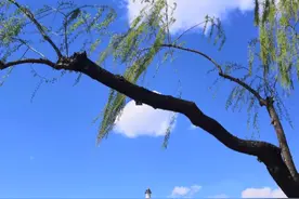 爆红歌曲~鬼新娘(泰国童声版)，林正英鬼片电影配乐