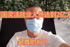 我国灵活就业人员达到2亿。七分之一？视频封面