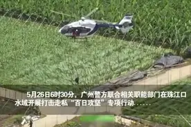 海陆空联动场面堪比大片！广州打击走私“百日攻坚”行动首战告捷视频封面