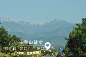 都江堰虹口百合花谷山路徒步视频封面