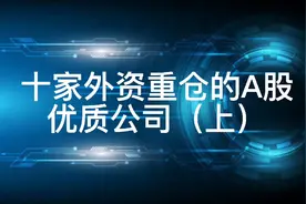 十家外资重仓的A股优质公司（上）视频封面