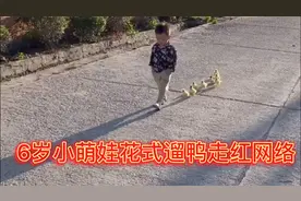 别人遛狗他遛鸭，小萌娃花式遛鸭，被鸭子当做带头大哥。视频封面