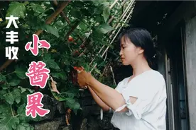 你知道小番茄有多酸吗？但却又非常受欢迎视频封面