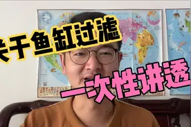 一次性把所有鱼缸过滤的问题讲完，要再不会弄滤材，我也没办法了视频封面